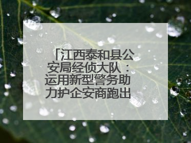 江西泰和县公安局经侦大队：运用新型警务助力护企安商跑出“加速度”