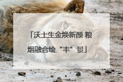沃土生金焕新颜 粮烟融合绘“丰”景