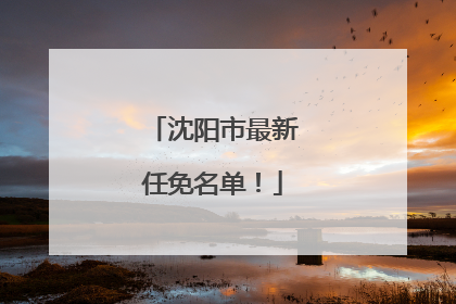 沈阳市最新任免名单！