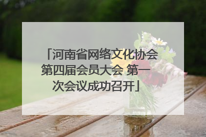 河南省网络文化协会第四届会员大会 第一次会议成功召开
