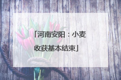 河南安阳：小麦收获基本结束