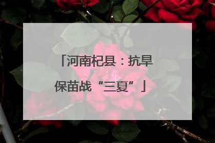 河南杞县：抗旱保苗战“三夏”