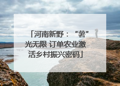 河南新野：“薯”光无限 订单农业激活乡村振兴密码