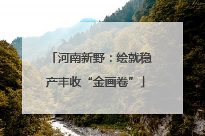 河南新野：绘就稳产丰收“金画卷”