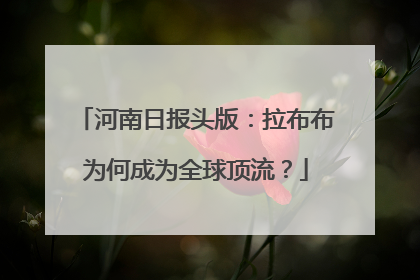河南日报头版：拉布布为何成为全球顶流？