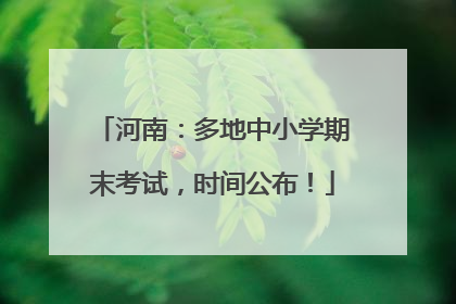 河南：多地中小学期末考试，时间公布！