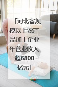 河北省规模以上农产品加工企业年营业收入超6800亿元
