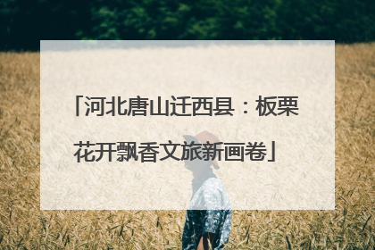 河北唐山迁西县：板栗花开飘香文旅新画卷