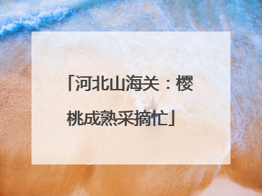 河北山海关：樱桃成熟采摘忙
