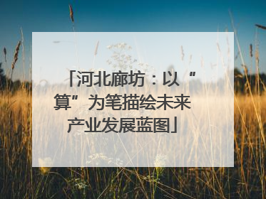 河北廊坊：以“算”为笔描绘未来产业发展蓝图