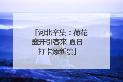 河北辛集：荷花盛开引客来 夏日打卡添新景