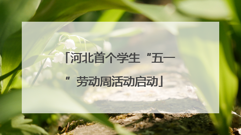 河北首个学生“五一”劳动周活动启动