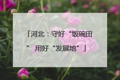 河北：守好“饭碗田” 用好“发展地”
