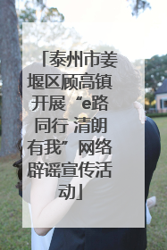 泰州市姜堰区顾高镇开展“e路同行 清朗有我”网络辟谣宣传活动