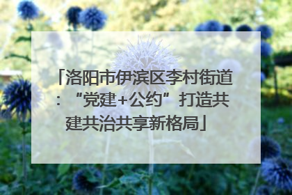 洛阳市伊滨区李村街道：“党建+公约”打造共建共治共享新格局