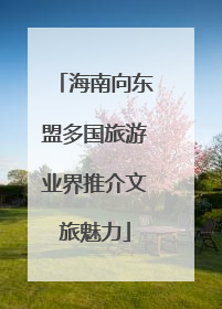 海南向东盟多国旅游业界推介文旅魅力