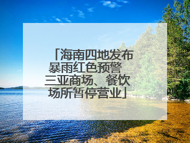 海南四地发布暴雨红色预警 三亚商场、餐饮场所暂停营业