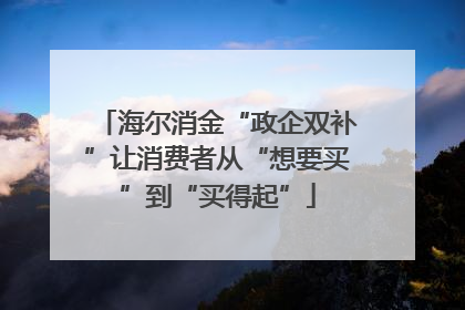 海尔消金“政企双补”让消费者从“想要买”到“买得起”