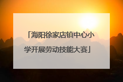 海阳徐家店镇中心小学开展劳动技能大赛
