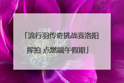 流行羽传奇挑战赛洛阳挥拍 点燃端午假期