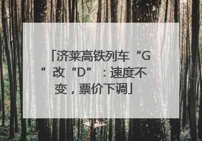 济莱高铁列车“G”改“D”：速度不变，票价下调