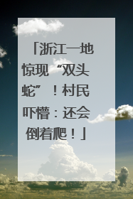 浙江一地惊现“双头蛇”！村民吓懵：还会倒着爬！