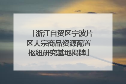 浙江自贸区宁波片区大宗商品资源配置枢纽研究基地揭牌