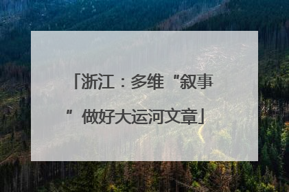 浙江：多维“叙事”做好大运河文章