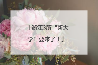 浙江3所“新大学”要来了！