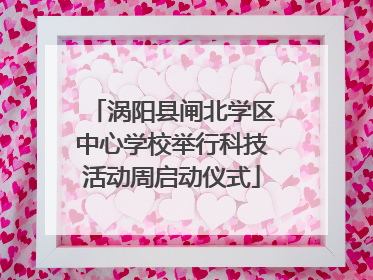 涡阳县闸北学区中心学校举行科技活动周启动仪式
