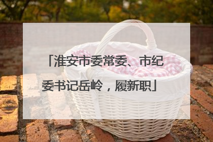 淮安市委常委、市纪委书记岳岭，履新职