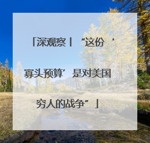 深观察丨“这份‘寡头预算’是对美国穷人的战争”