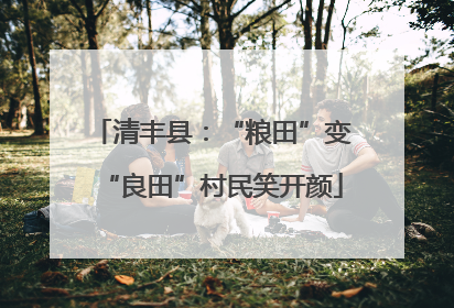 清丰县：“粮田”变“良田”村民笑开颜