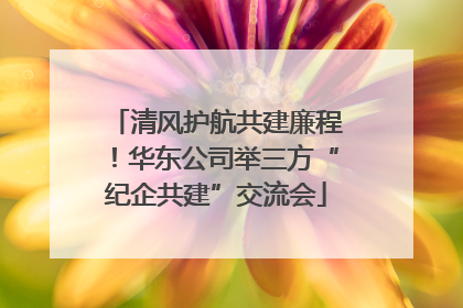 清风护航共建廉程！华东公司举三方“纪企共建”交流会