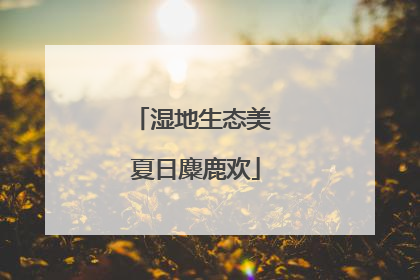 湿地生态美 夏日麋鹿欢