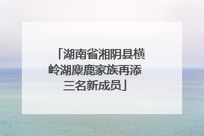 湖南省湘阴县横岭湖麋鹿家族再添三名新成员