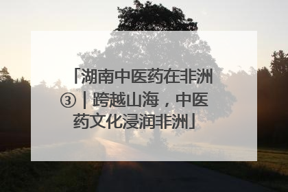 湖南中医药在非洲③｜跨越山海，中医药文化浸润非洲