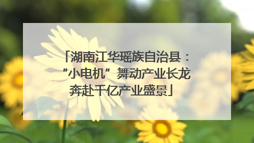 湖南江华瑶族自治县：“小电机”舞动产业长龙 奔赴千亿产业盛景