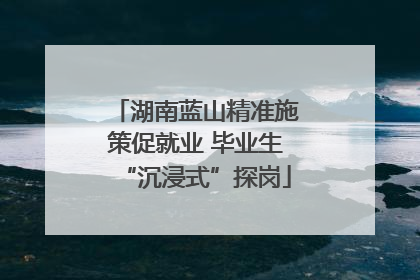 湖南蓝山精准施策促就业 毕业生“沉浸式”探岗