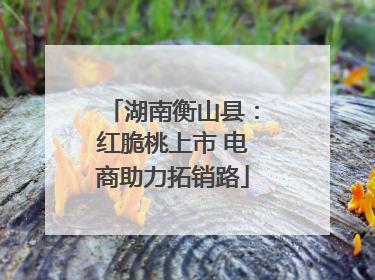 湖南衡山县：红脆桃上市 电商助力拓销路