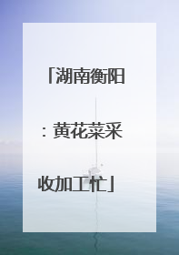湖南衡阳：黄花菜采收加工忙