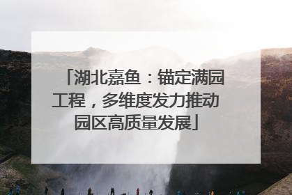 湖北嘉鱼：锚定满园工程，多维度发力推动园区高质量发展