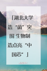 湖北大学造“菌”突围 生物制造点亮“中国芯”
