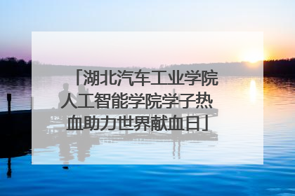 湖北汽车工业学院人工智能学院学子热血助力世界献血日