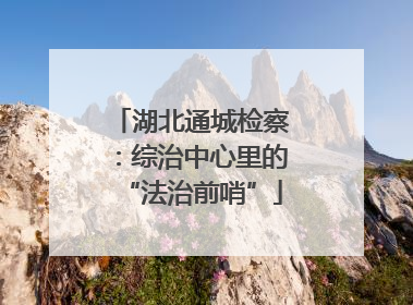 湖北通城检察：综治中心里的“法治前哨”