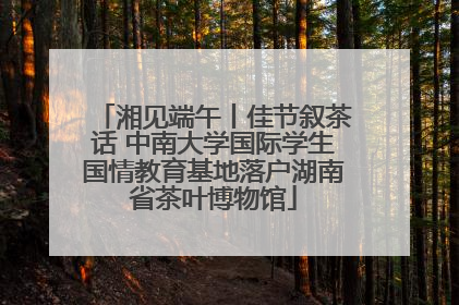 湘见端午丨佳节叙茶话 中南大学国际学生国情教育基地落户湖南省茶叶博物馆