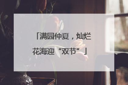 满园仲夏，灿烂花海迎“双节”