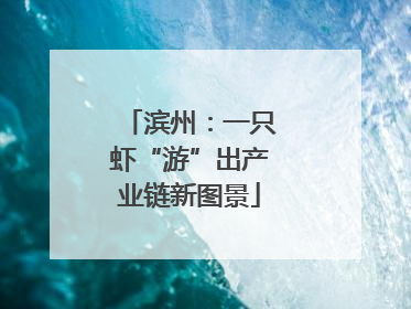 滨州：一只虾“游”出产业链新图景
