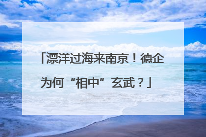 漂洋过海来南京！德企为何“相中”玄武？