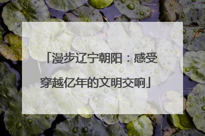漫步辽宁朝阳：感受穿越亿年的文明交响